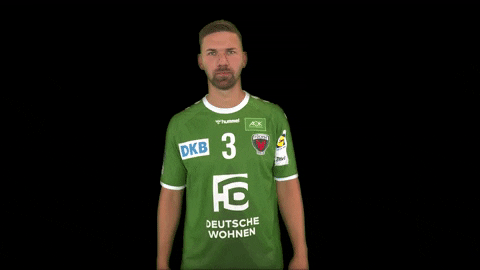 LIQUIMOLY_HBL giphyupload berlin hbl handball-bundesliga GIF