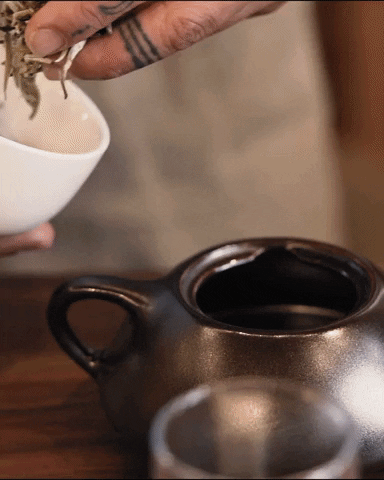 ryancvet tea tea pot making tea ryan vet GIF