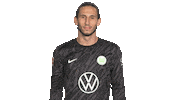 Football Love Sticker by VfL Wolfsburg