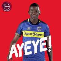 south african soccer GIF