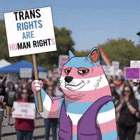 Proud Human Rights GIF by Doge Pound