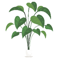 Plants Sticker by Architectural Digest Mexico