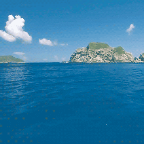 sea ocean GIF