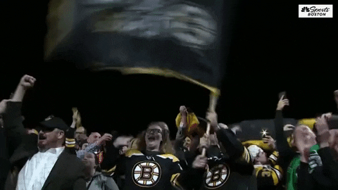 nbcsboston giphyupload patriots pats stanley cup playoffs GIF