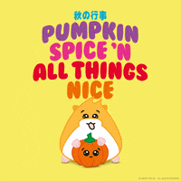 Happy Pumpkin Spice GIF by hamsta.world