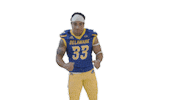 Delaware Football Dance Sticker by Delaware Blue Hens