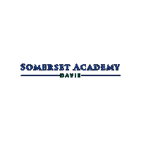 Academica Schools Sticker by Academica