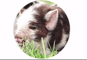 easttw giphyupload GIF