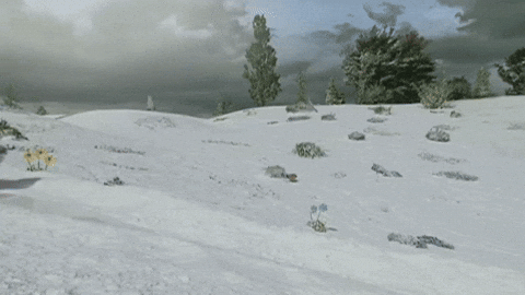 On My Way Hello GIF by Teletubbies