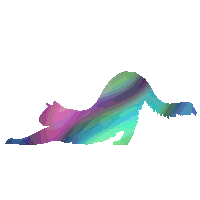 Cat Moving Sticker