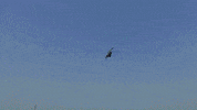 Trump Usa GIF by TV7 ISRAEL NEWS