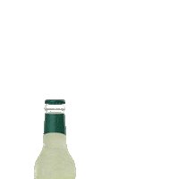 Refreshing Bitter Lemon Sticker by Red Bull