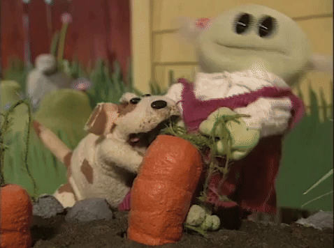 Carrot struggles