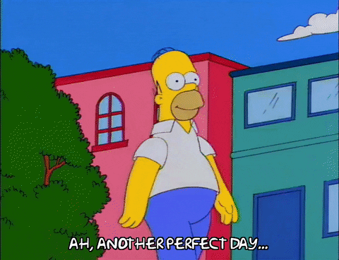 homer simpson episode 13 GIF