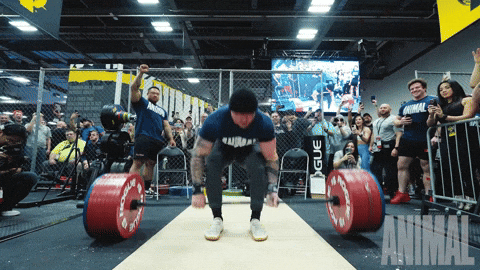 Yell Bench Press GIF by Animalpak