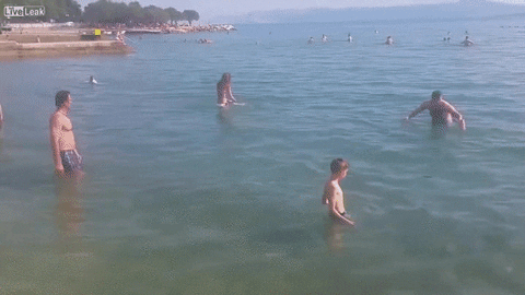frisbee fail GIF