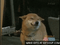 oscar ganar GIF