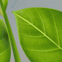 Terrador GIF by Ourofino Agrociência