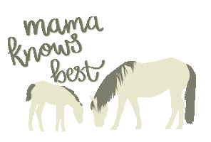 Mothers Day Moms Sticker by Molly Virginia Morris Photography