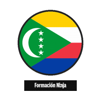 Comoros Flag Sticker by Formación Ninja