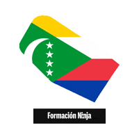 Comoros Flag Sticker by Formación Ninja