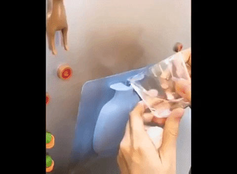 giphygifmaker GIF
