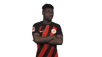 Walks Out Eintracht Frankfurt Sticker by Bundesliga