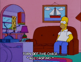 homer simpson GIF