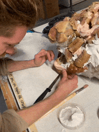 Animation Acting GIF by Alex Boya