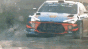 wrclive rallyargentina GIF by FIA World Rally Championship