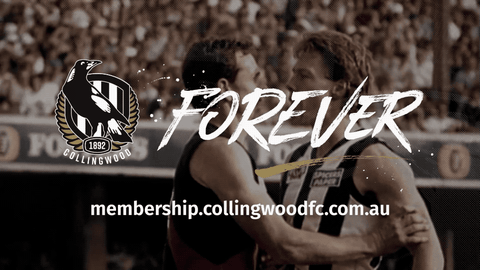 gavin brown magpies GIF by CollingwoodFC