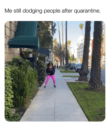 ComedianHollyLogan giphygifmaker meme 2020 help GIF