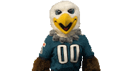 Nodding Yes Sticker by Philadelphia Eagles