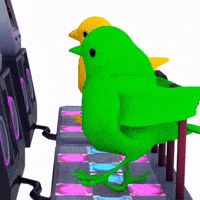 Brrd GIF