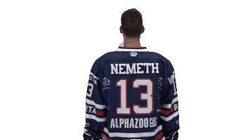Ice Hockey Sport Sticker by Fehervar AV19
