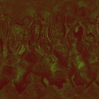 animation effect GIF by Psyklon