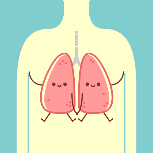 lungs GIF