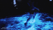 avatar running GIF by BBC Earth