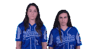 Italia Pitching Sticker by FIBS - Federazione Italiana Baseball Softball