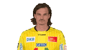 Handball-Bundesliga Fun Sticker by LIQUI MOLY HBL