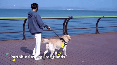 Hparker232 giphyupload GIF