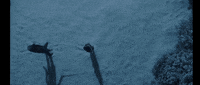 Nos4A2 GIF by aiptcomics