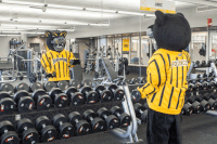 working out new year GIF by UW-Milwaukee