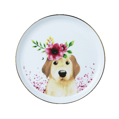 Playwithcasa Sticker by CASA Indonesia