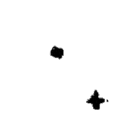 Star Sticker by Farmacy Beauty