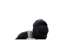 Eerfsoup Sticker