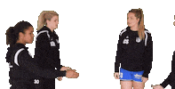 Handshake Handball Sticker by ATSV Habenhausen