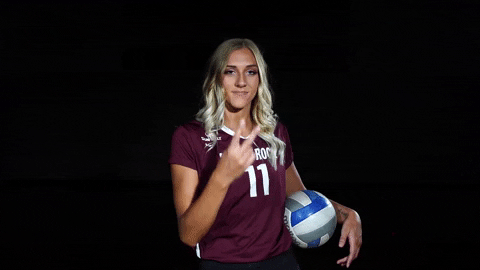 Littlerockvb GIF by Little Rock Athletics