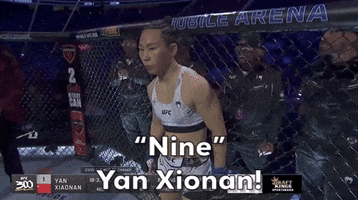 Mixed Martial Arts Sport GIF by UFC