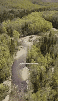 jenniferaccomando thoughts toxic negative immune health GIF